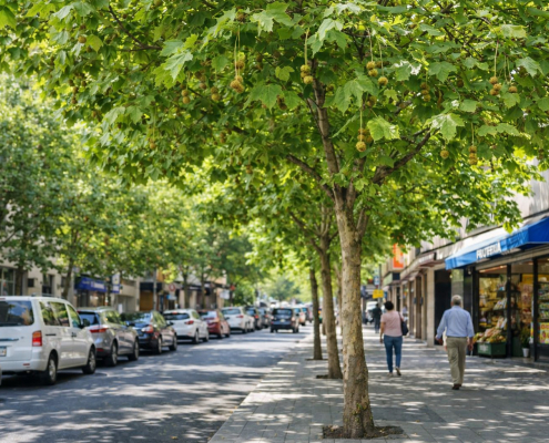 plataneros alergia en primavera